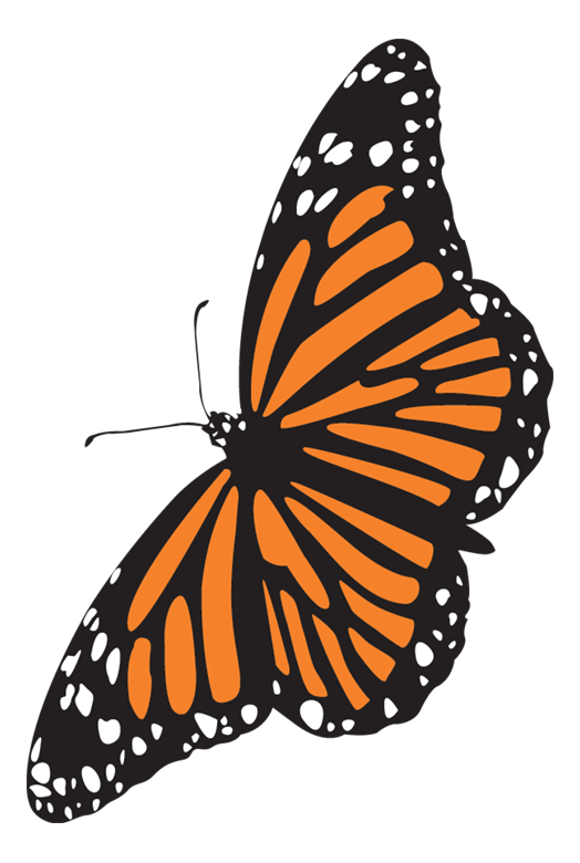 Profile image for Brian Johnson - Finance Manager