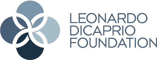 Image for Leonardo DiCaprio Foundation