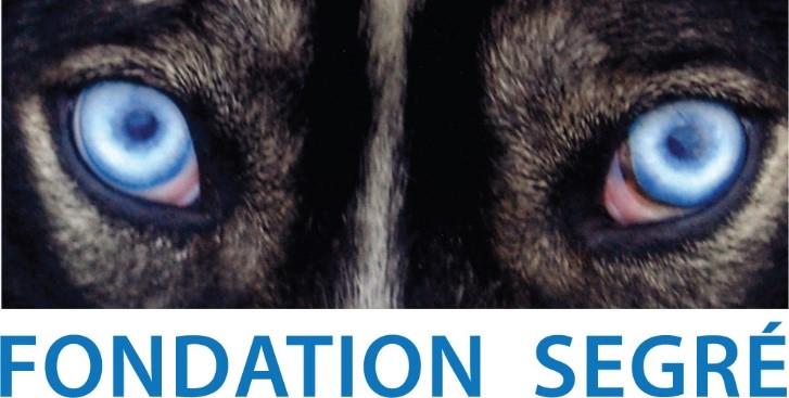 Image for Fondation Segre